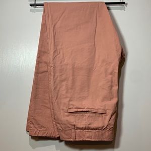 GAP Lived-In Slim Potpourri Pink Chinos 33x32